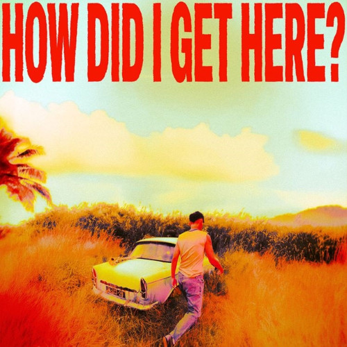 LP / Tomlinson Louis / How Did I Get Here? / Clear / Vinyl