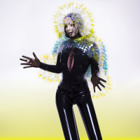 CDBjork / Vulnicura / Digipack