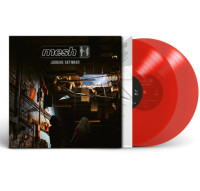 2LPMesh / Looking Skyward / Vinyl / 2LP
