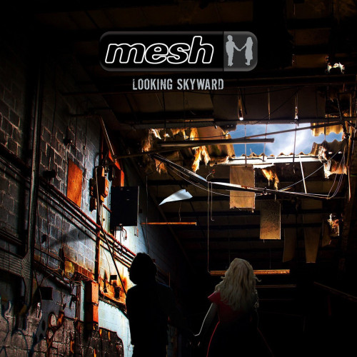 CD / Mesh / Looking Skyward