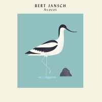 LPBert Jansch / Avocet / Vinyl