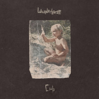 CDWunderhorse / Cub