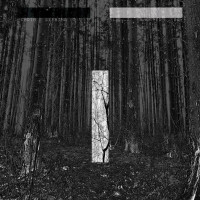 2LPLiebing Chris / Another Day / Vinyl / 2LP.