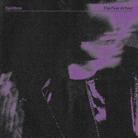 CDSpiritbox / Fear Of Fear