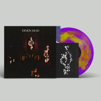 LPDemon Head / Through Holes Shine The Stars / Coloured / Vinyl