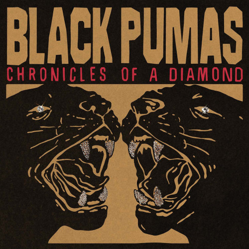 LP / Black Pumas / Chronicles Of Diamonds / German Edition / Clear / Viny