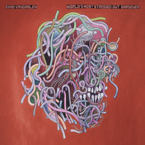 LP / Gaalen Chad Van / World's Most Stressed Out Gardener / Vinyl