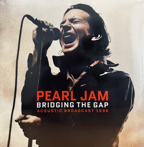 2LP / Pearl Jam / Bridging The Gap / Vinyl / 2LP