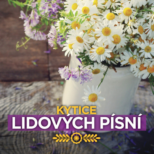 CD / Various / Kytice Lidovych Pisni