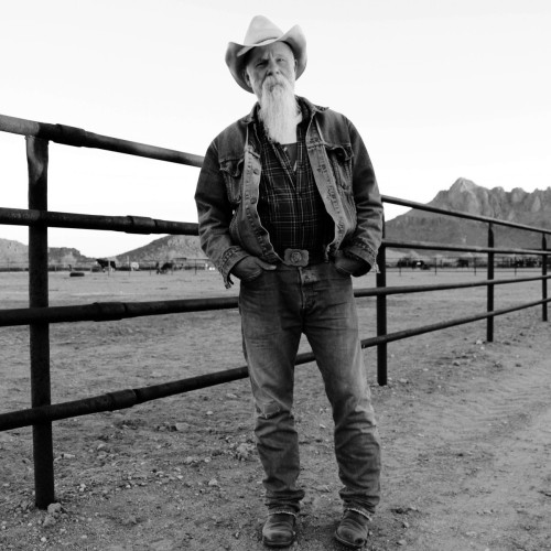 2CD / Seasick Steve / Keepin' The Horse Between Me And The Gr / 2CD