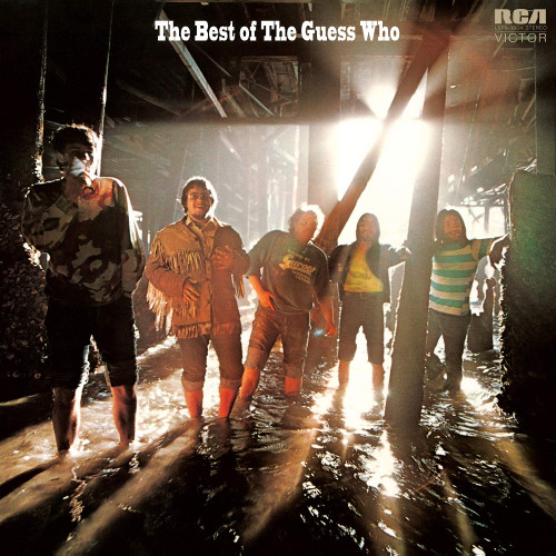 LP / Guess Who / Best Of The Guess... / Vinyl