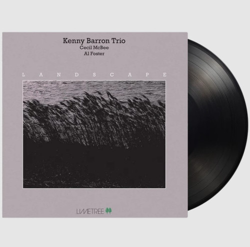 LP / Barron Kenny Trio / Landscape / Vinyl