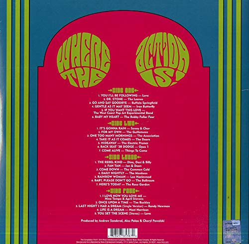 2LP / Various / Where The Action Is!Los Angeles Nuggets / Vinyl / 2LP