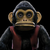 LPVan Breemen Edo / Monkey / Coloured / Vinyl