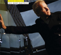 LPKoller David / Nic nen� nast�lo / Vinyl