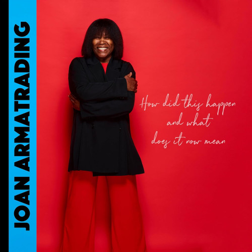 LP / Armatrading Joan / How Did This Happen and What Does... / Vinyl