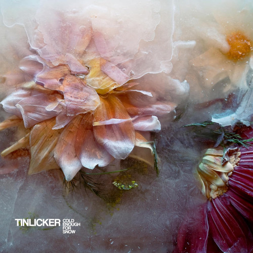 LP / Tinlicker / Cold Enough For Snow Mountain / Vinyl