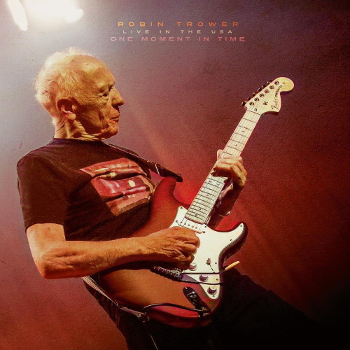 2LP / Trower Robin / One Moment In Time-Live In The USA / Vinyl / 2LP