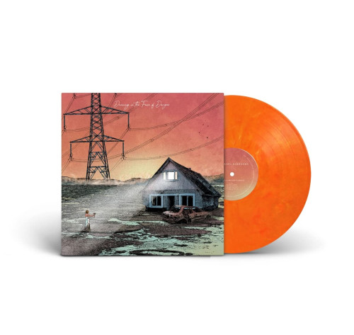 LP / Exploring Birdsong / Dancing In The Face of Danger / Vinyl