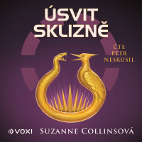 2CDCollinsov� Suzanne / �svit sklizn� / Neskusil P. / MP3 / 2CD
