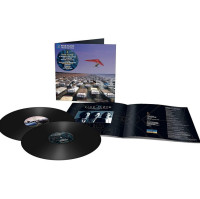 2LPPink Floyd / Momentary Lapse Of Reason / Remix / Vinyl / 2LP