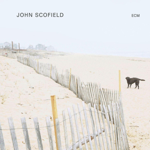 LP / Scofield John / Solo / Vinyl