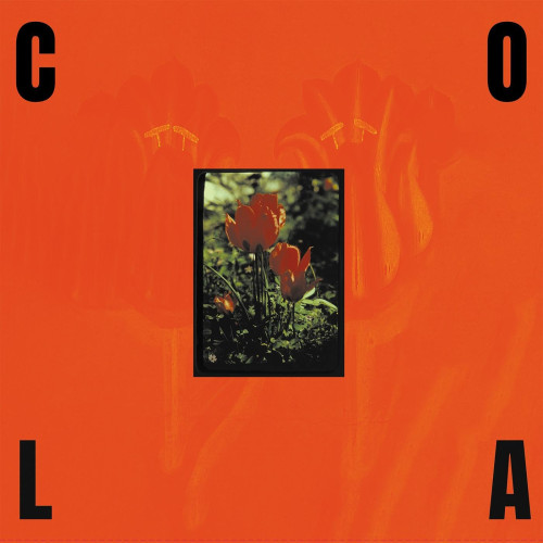LP / Cola / Gloss / Vinyl