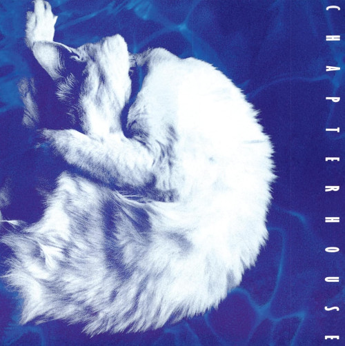 LP / Chapterhouse / Whirlpool / White,Black Marble / Vinyl