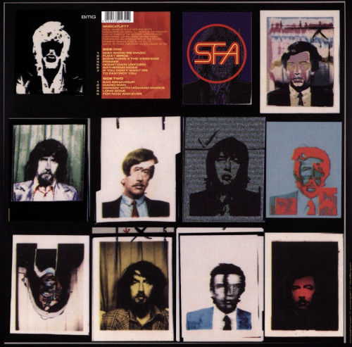 LP / Super Furry Animals / Fuzzy Logic / Vinyl