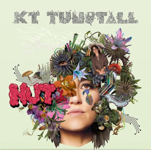 CD / KT Tunstall / Nut