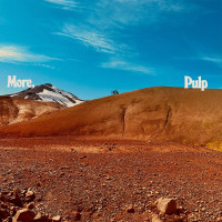 CDPulp / More / Digisleeve