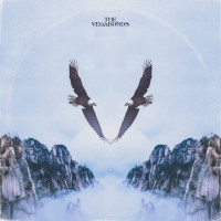 LPVegabonds / V / Vinyl