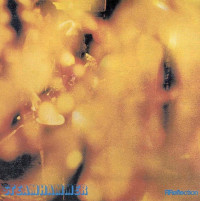 CDSteamhammer / Reflection