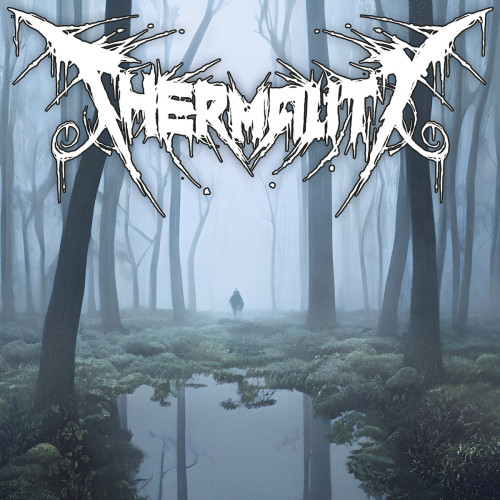 LP / Thermality / Before I Get To Rest / Vinyl
