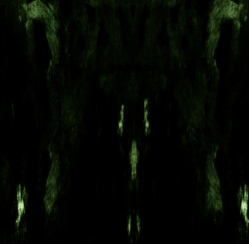CD / Impetuous Ritual / Unholy Congregation Of Hypocritical...