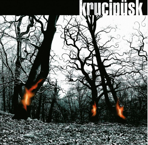 LP / Krucip�sk / Druide / 20th Aniversary / Vinyl