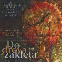 2CDCM Technik,Flair,Jan Rokyta / Do d�eva zaklet� / 2CD