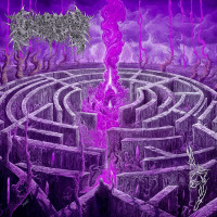 CDCiverous / Maze Envy