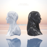 CDMilk & Bone / Little Mourning