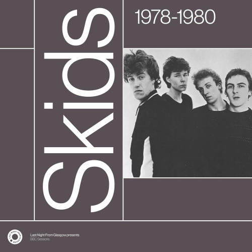 2LP / Skids / Complete Sessions 1978-1980 / Vinyl / 2LP