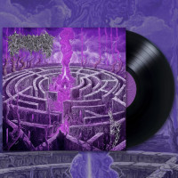 LPCiverous / Maze Envy / Vinyl
