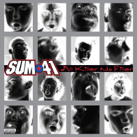 CDSum 41 / All Killer No Filler / 25th Anniversary