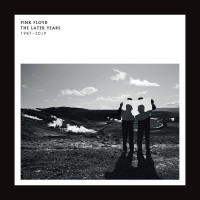 2LPPink Floyd / Later Years 1987-2019 / Vinyl / 2LP