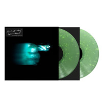 2LPBridgers Phoebe / Lost Weekend / Rogue Planet / Vinyl / 2LP