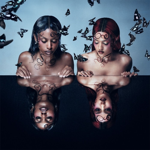 LP / Nova Twins / Parasites & Butterflies / Blue / Vinyl