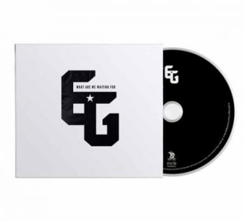 CD / Electric Guitars / What Are We Waiting For