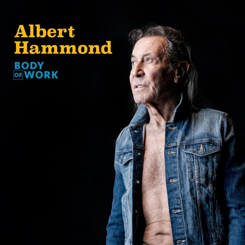 2LP / Hammond Albert / Body Of Work / Vinyl / 2LP