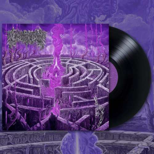 LP / Civerous / Maze Envy / Vinyl