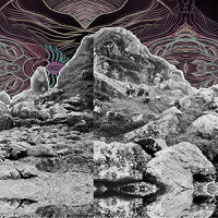 LPAll Them Witches / Dying Surfer Meets His Maker / Pink / Vinyl