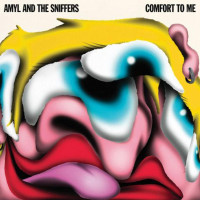 CDAmyl And The Sniffers / Comfort To Me